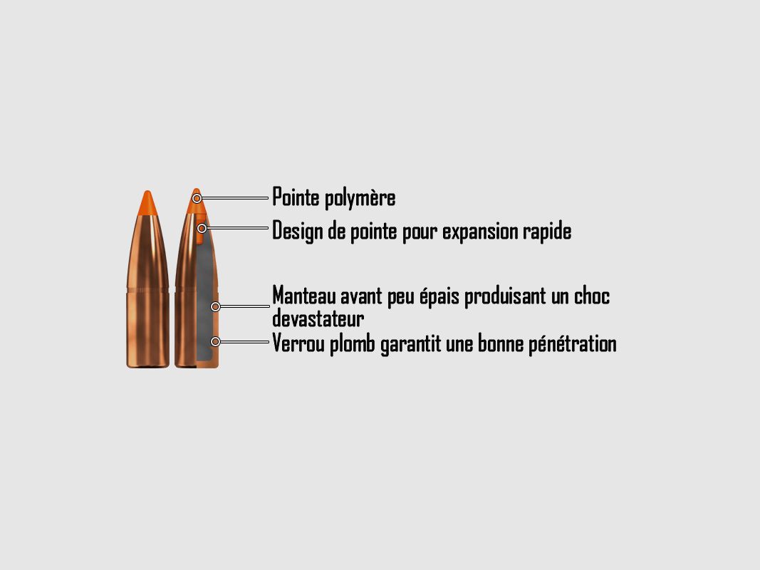 NORMA 300WM 170GR TIPSTRIKE, Bild 1 von 2