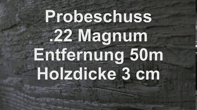 Probeschuss mit .22mag auf 50m