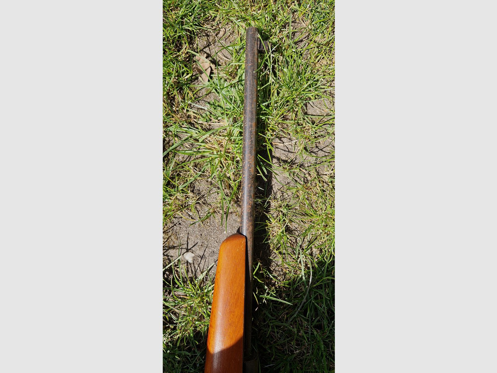 Luftgewehr Haenel Suhl 310