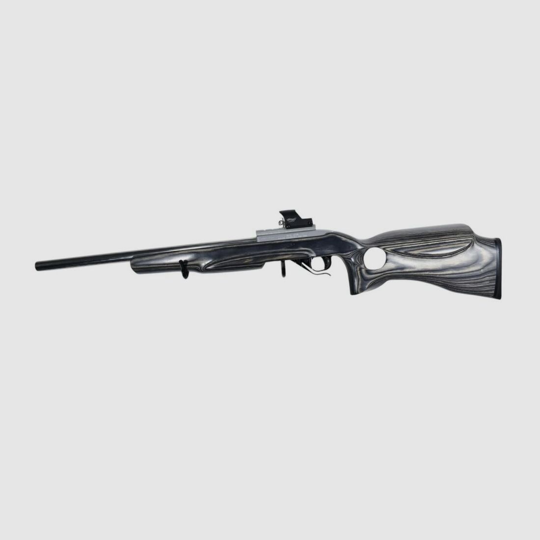 Ruger 10/22