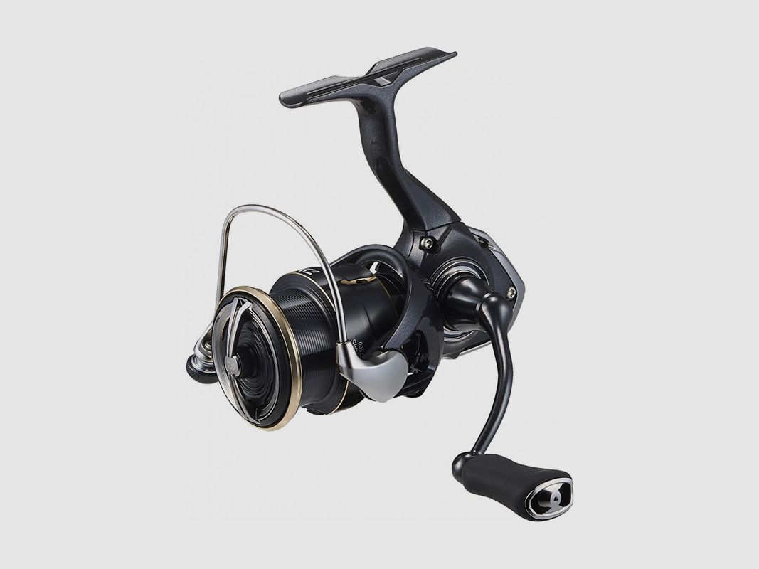 REEL – DAIWA – 26 FREAMS LT2000S, image 2 of 6