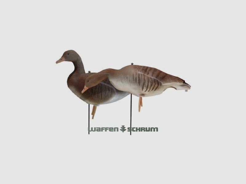 JVS Global Outdoor Decoys Grey Goose Full Body 6 Pack Flocked