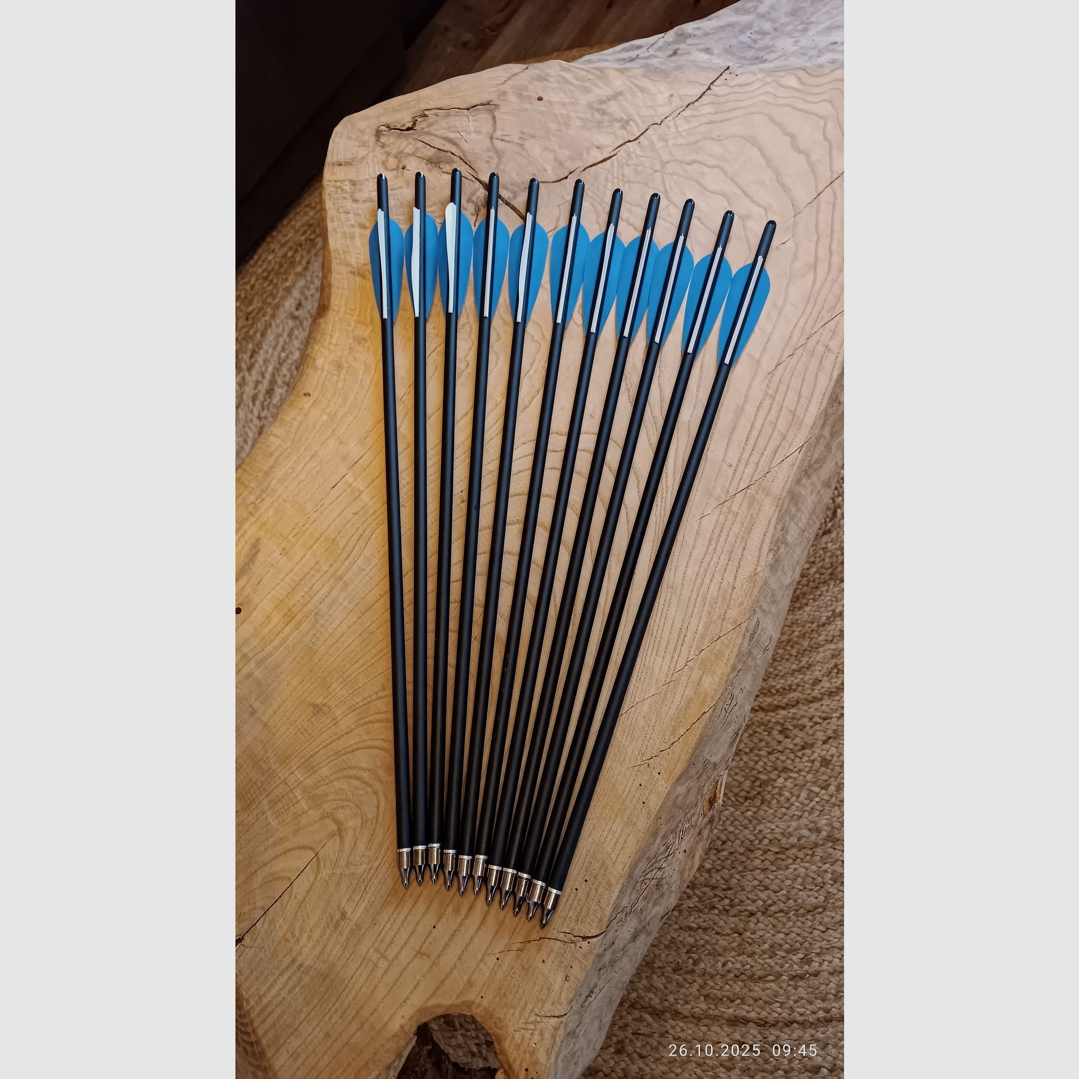 Armbrustbolzen 20 Zoll Carbon Halbmondnocke