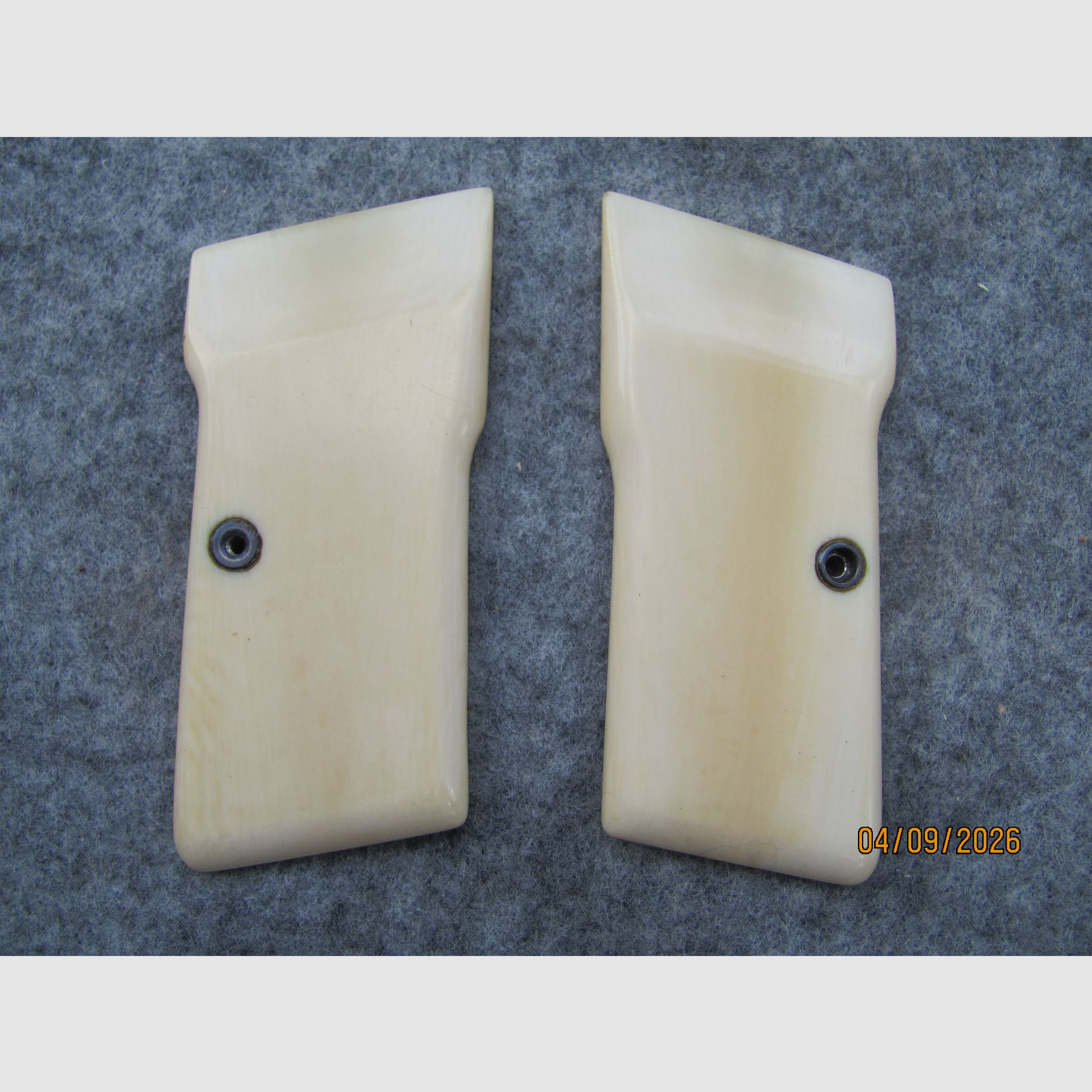FN 1922 cachas de stock de hueso