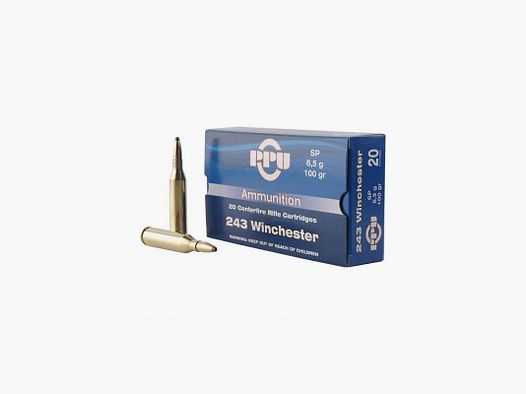 PPU 243 WINCHESTER, SP, 100GR