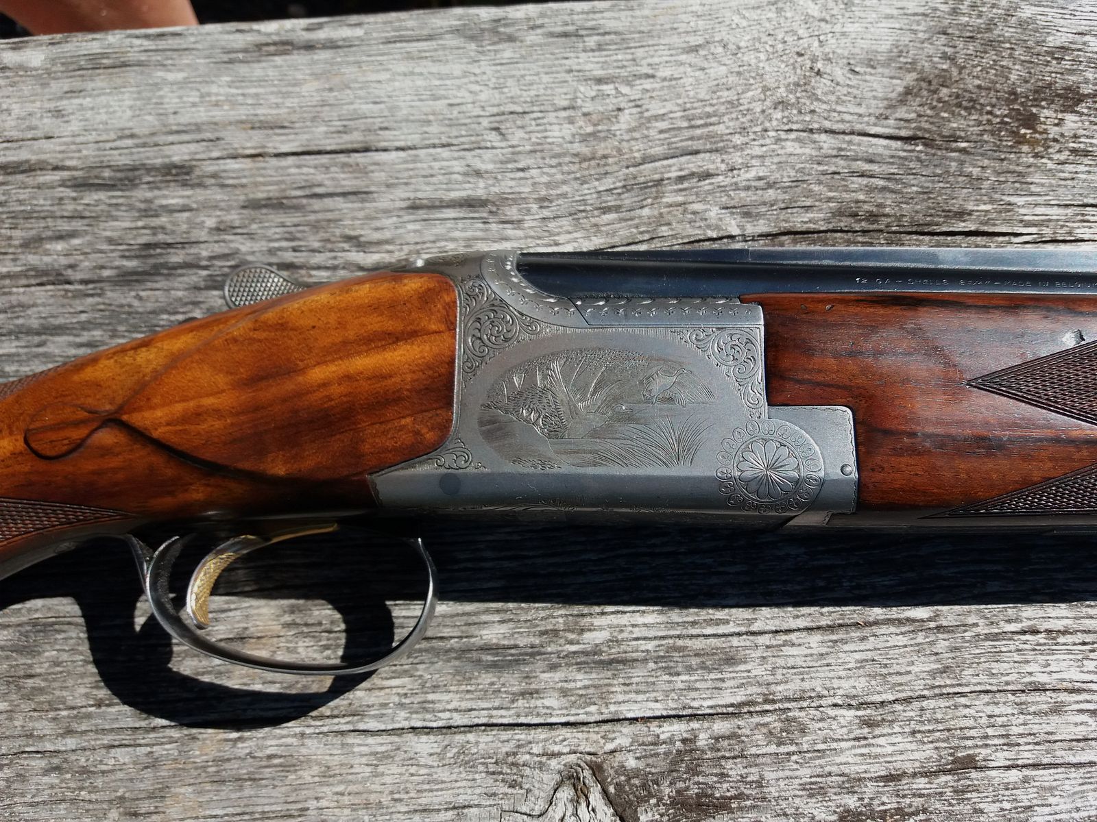 FN fusil