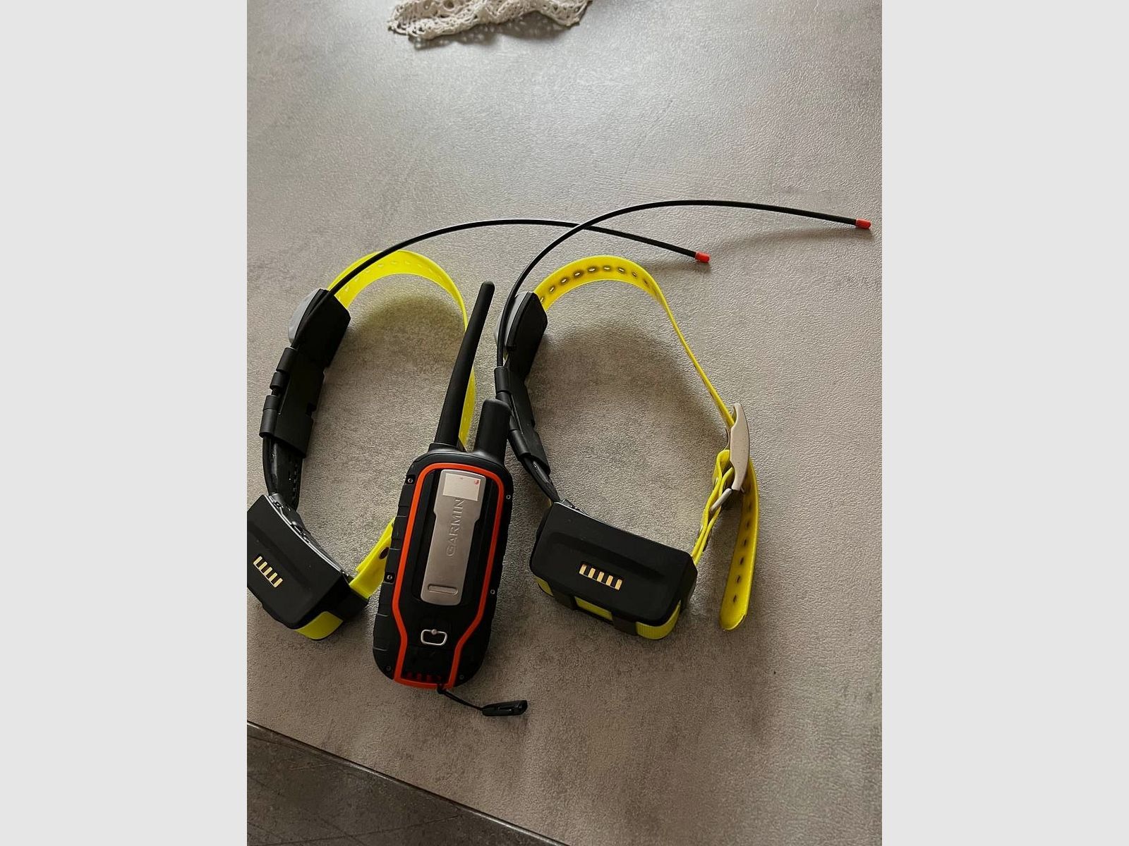 Garmin Alpha 100 mit zwei TT15 Halsbändern - Komplettset für