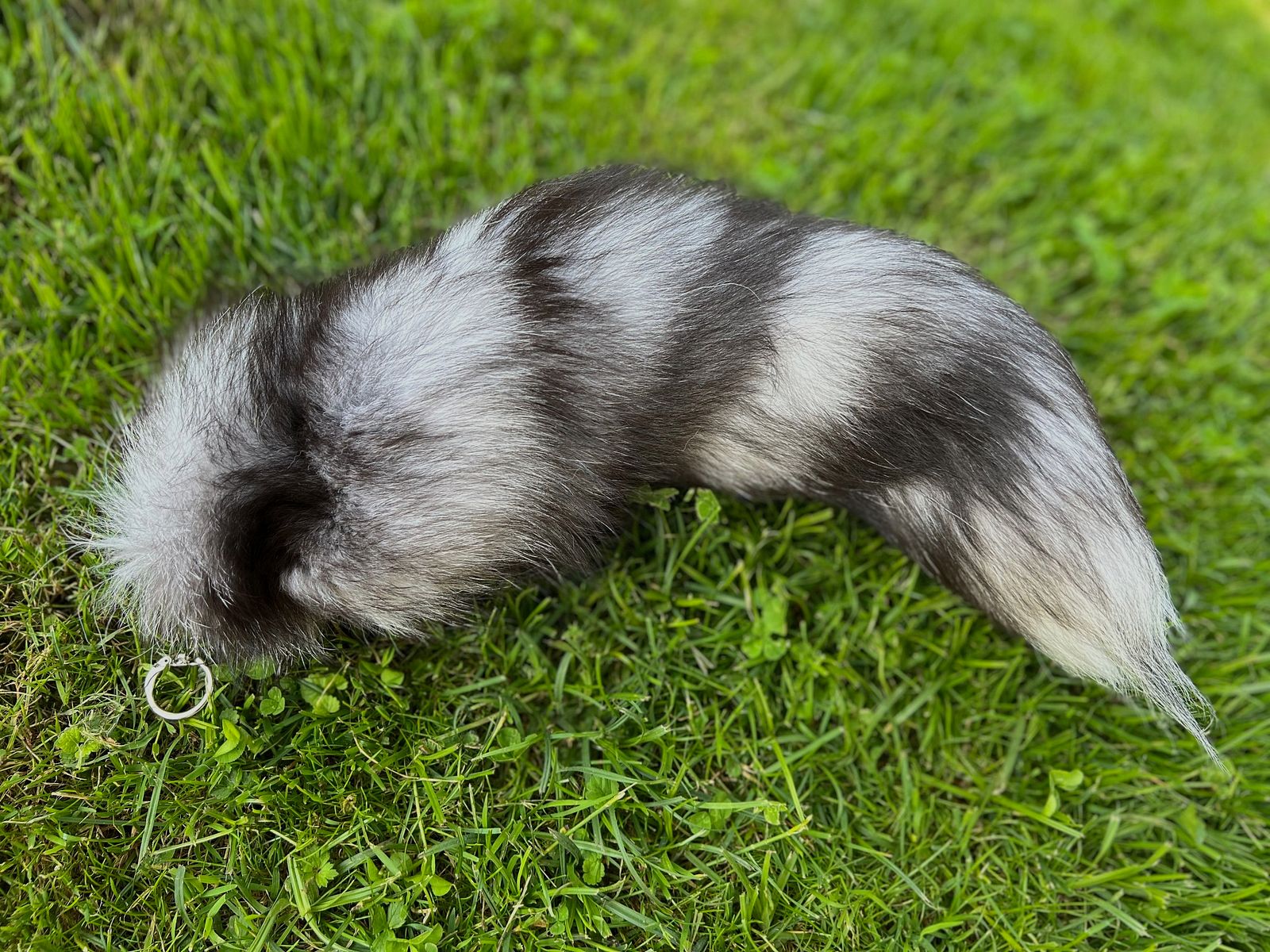 Actual blue fox tail with keychain