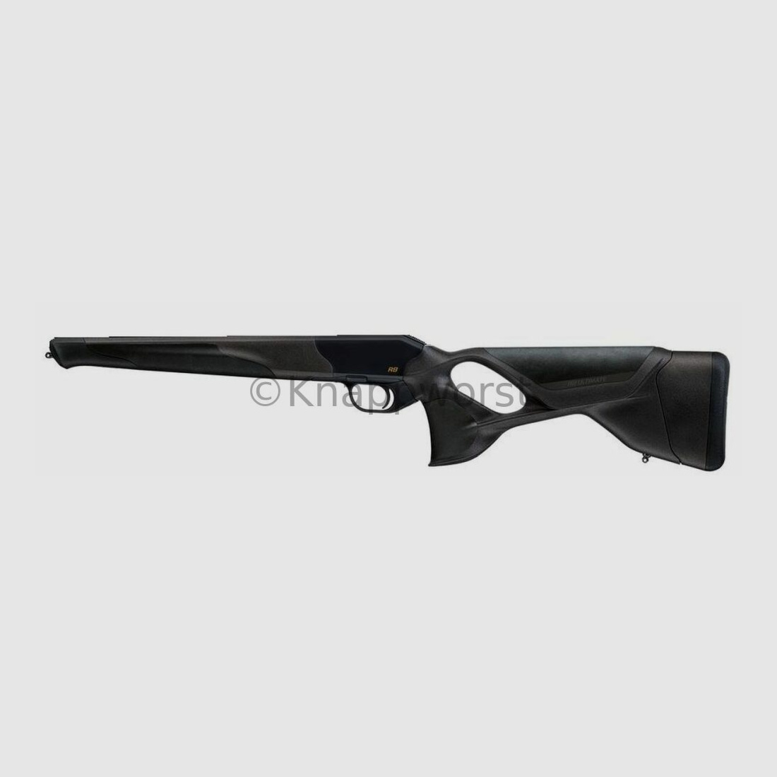 Blaser weapons system Blaser R8