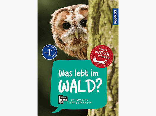 Livre pour enfants "Guide de la nature pour enfants : Que vit dans la forêt ?"