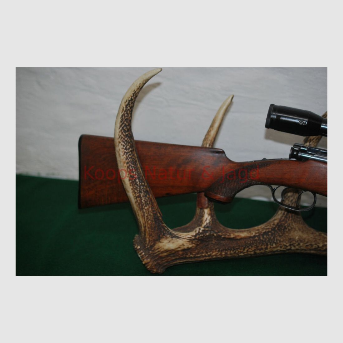 Steyr Mannlicher Schoenauer GK