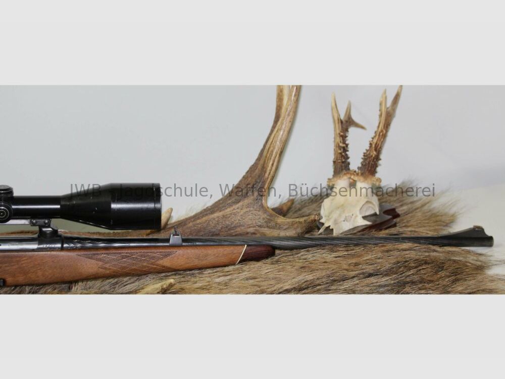 Steyr Mannlicher M con Schmidt & Bender 2,5 - 10 x 56 7x64