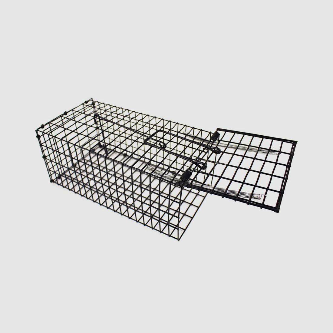 Trampa viva para ratas compacta