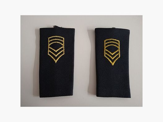1 Paar Schulterklappen US Army Rang Master Sergeant Abzeichen