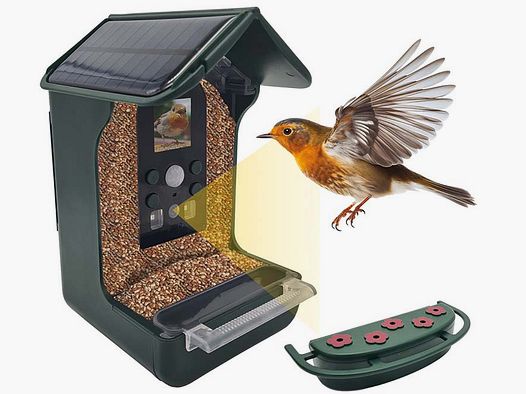 Vogel-Futterhaus mit Kamera und Solarpanel