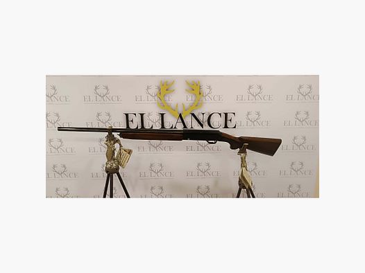 Franchi Prestige