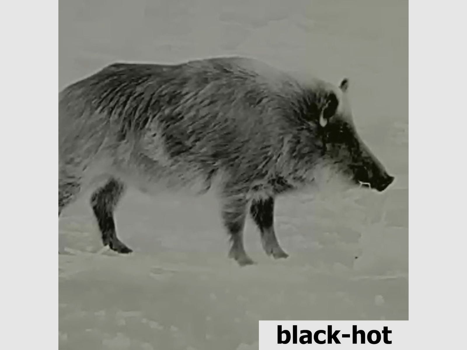 Lahoux Spotter NL 650 Wärmebildkamera