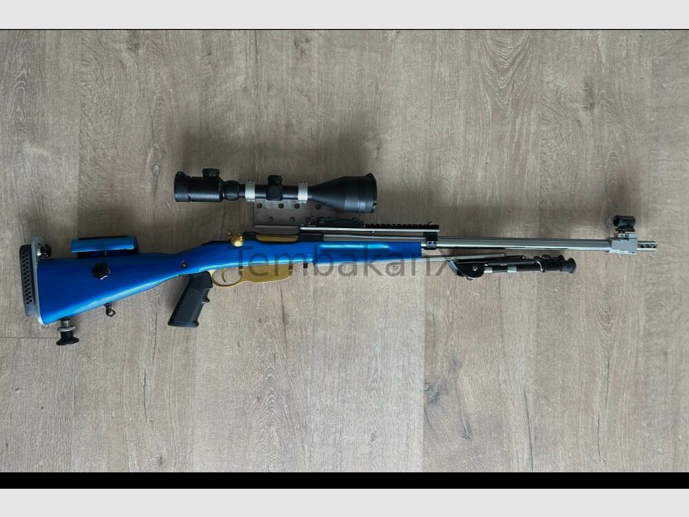 Steyr Arms Modifiziert .308Win