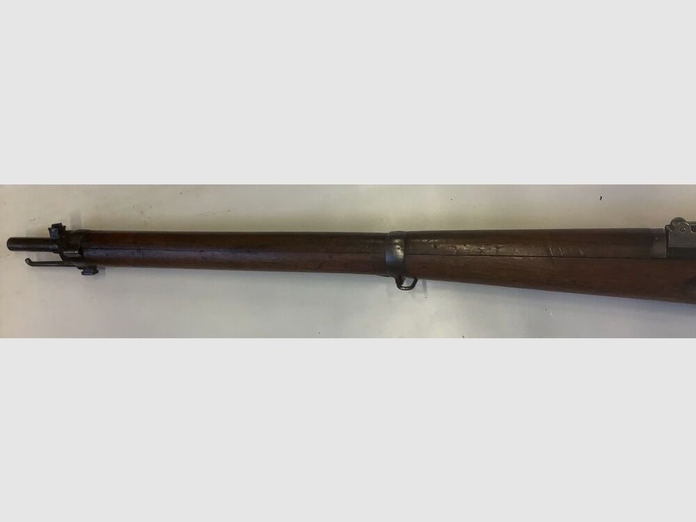 Schmidt - Rubin G11