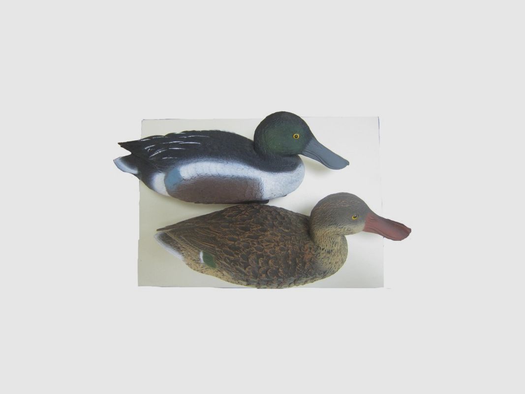 RECLAMOS PATOS CUCHARA MACHO Y HEMBRA