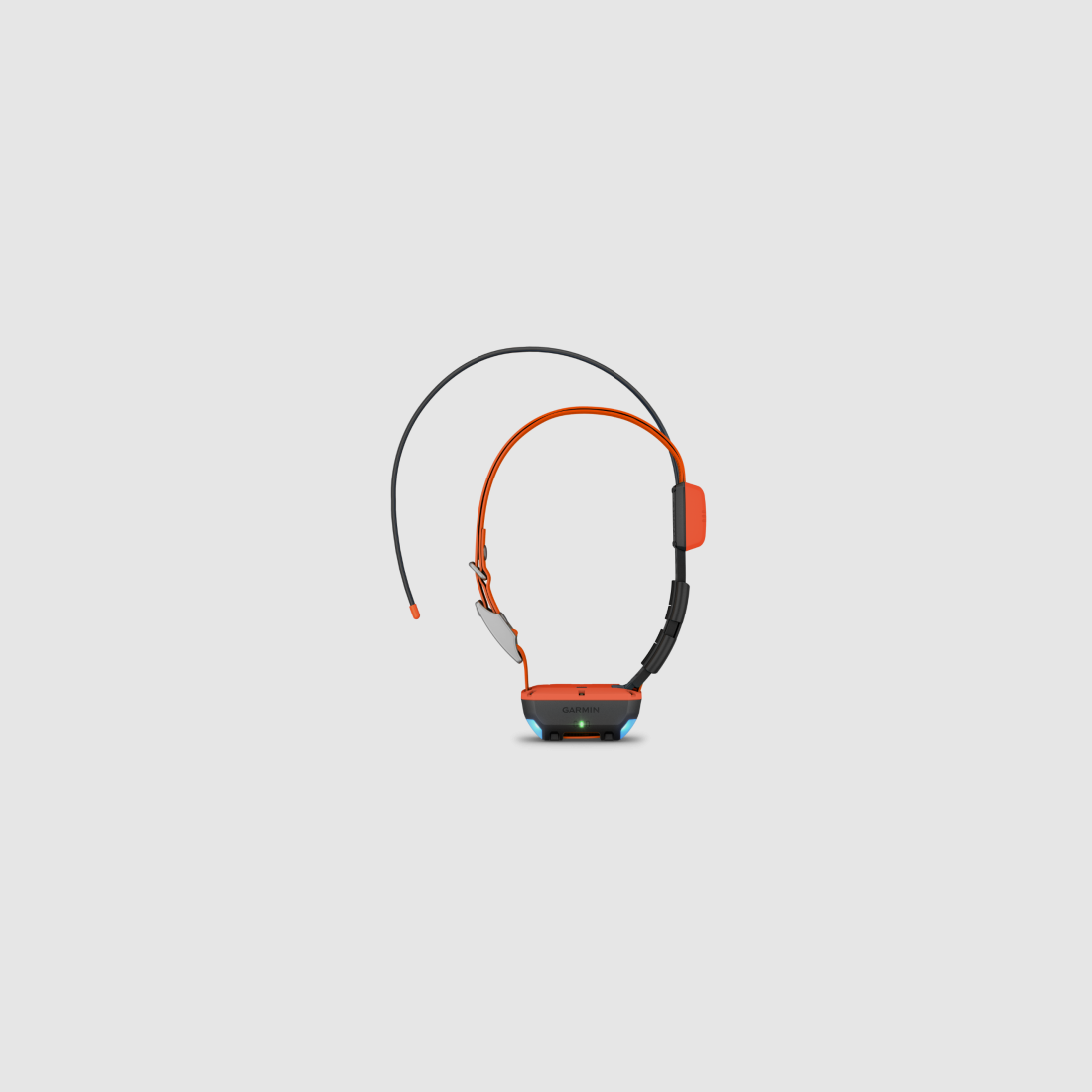 GPS-Halsband Garmin T20F, Bild 5 von 14