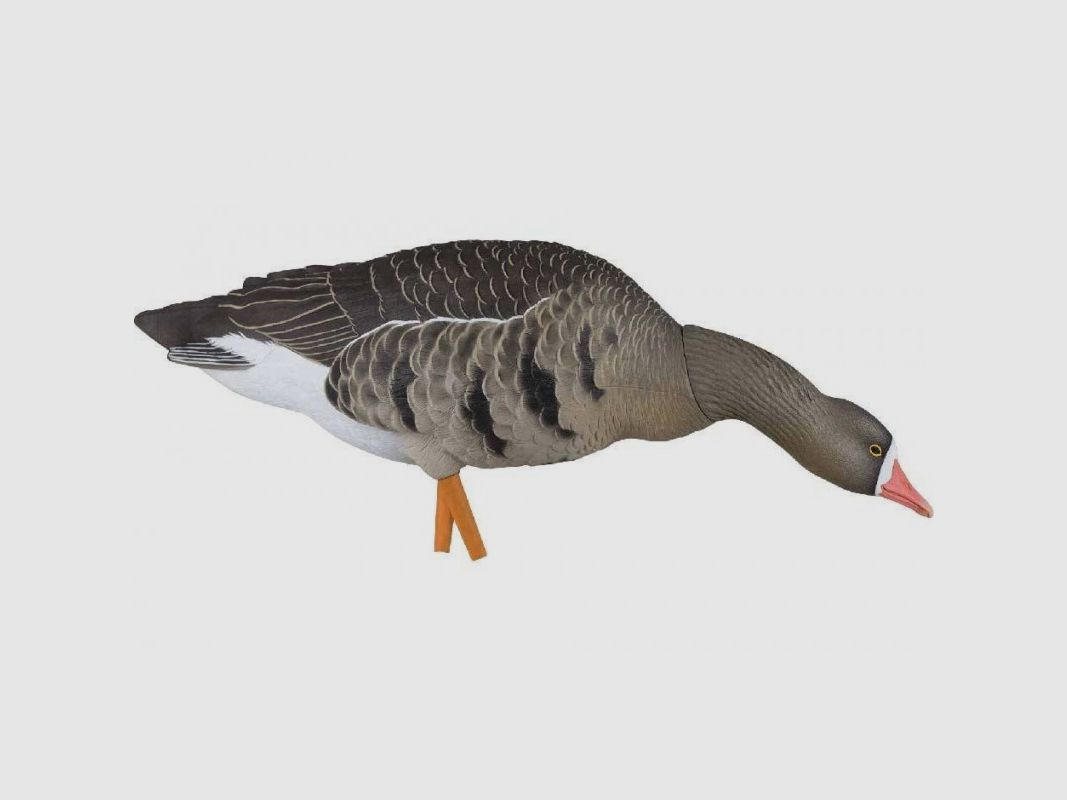 KIT Formen Avian-X Gans Lombardella Full Body 9014, Bild 4 von 5