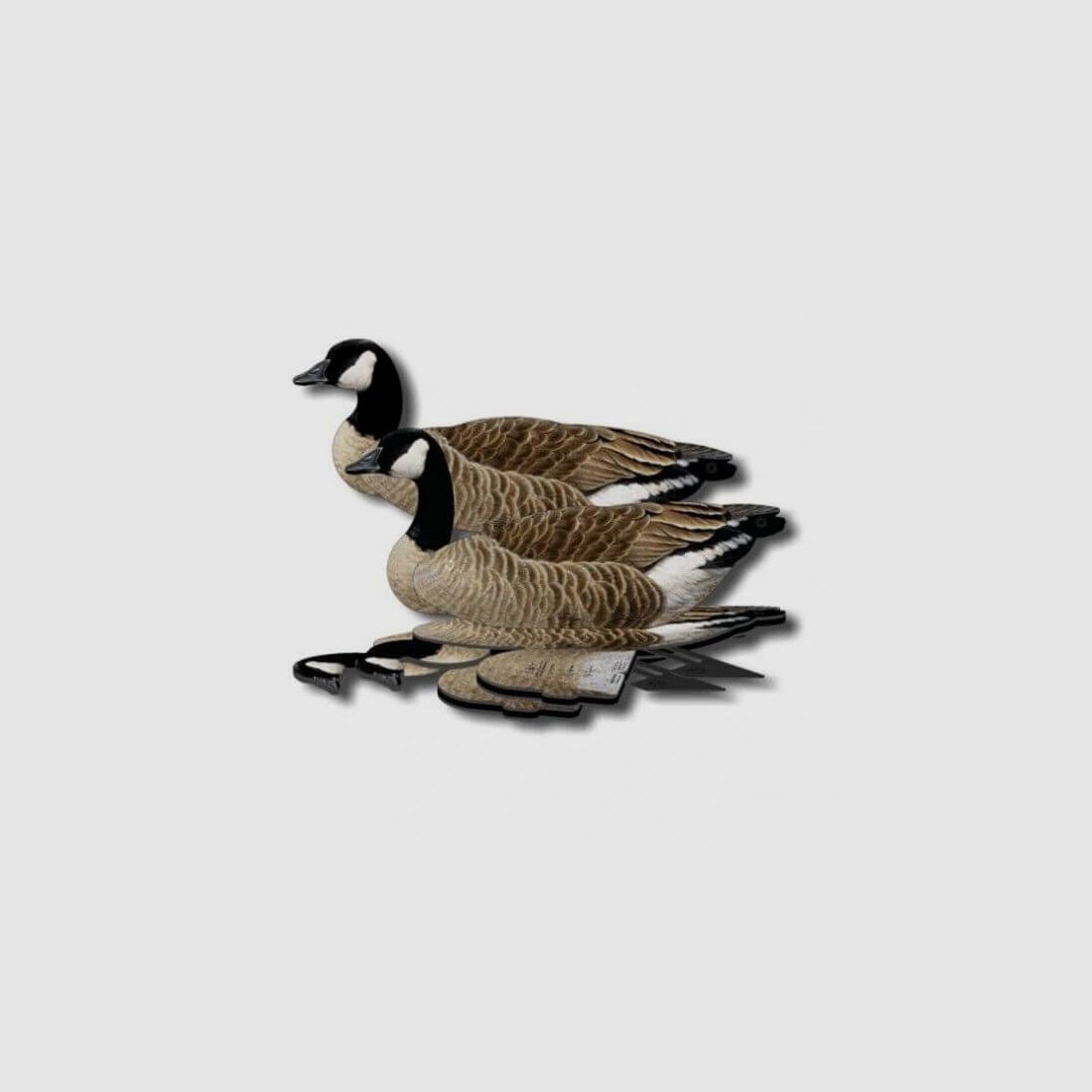 Lockvogel Kanadagans 6er-Set (FUD Decoy)