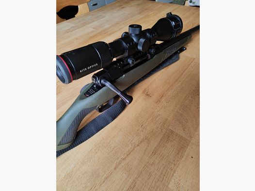 Savage fucile a ripetizione lineare