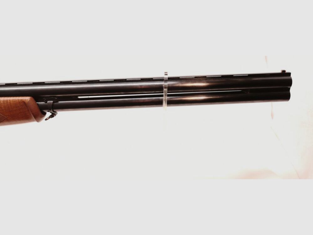 Franchi Alcione (AL)