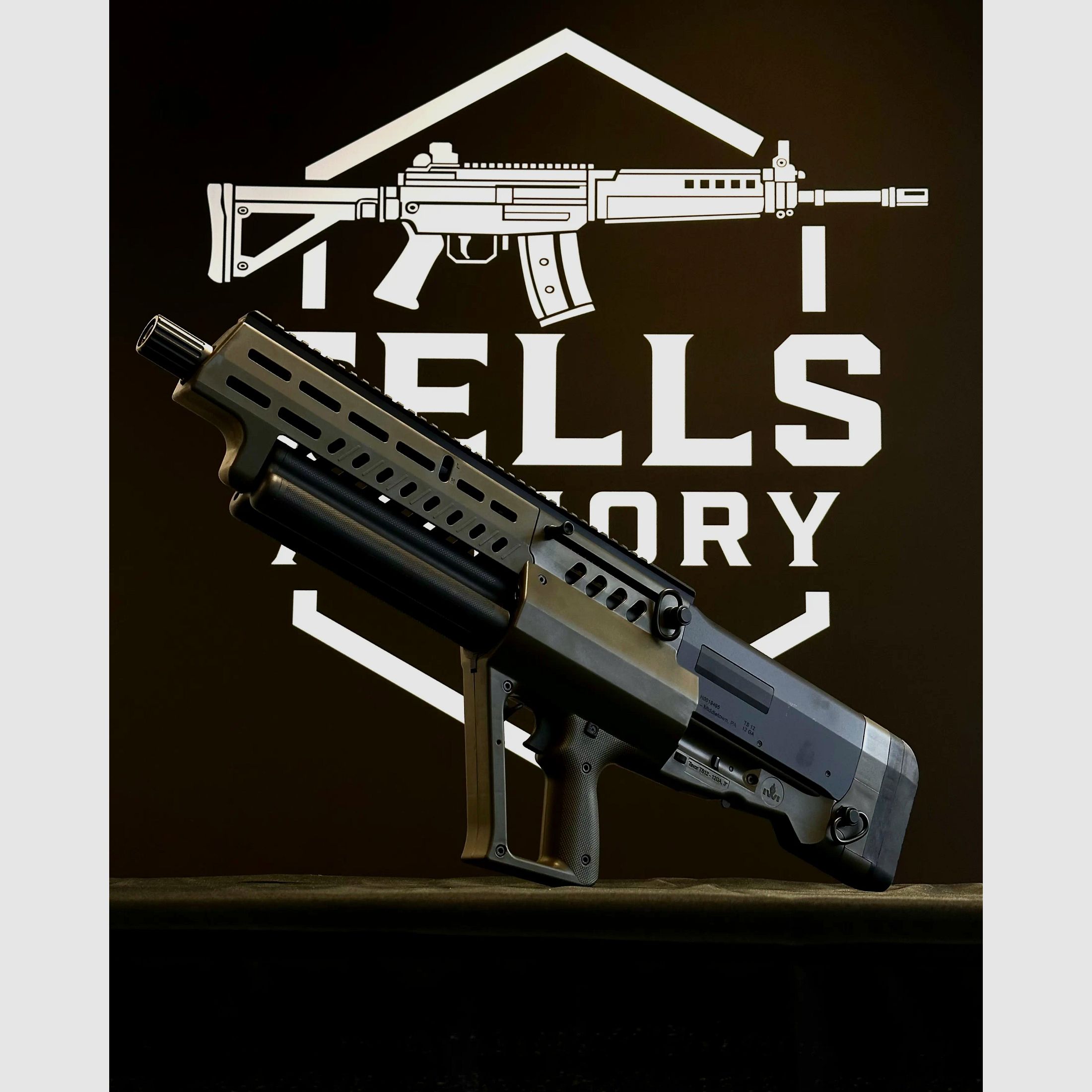 IWI Tavor TS12 18.5" Kal 12/76, Bild 1 von 4
