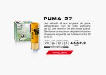 Mary Arm 27 gr 4 cal. 20 Puma plomb