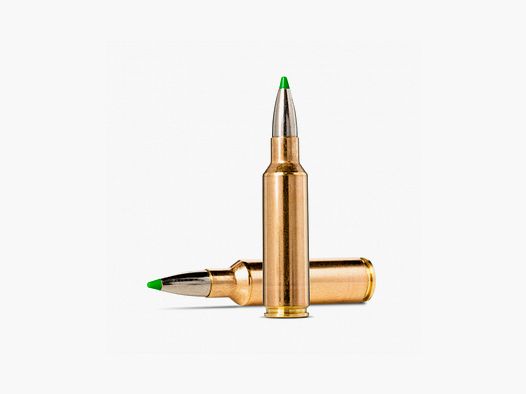 Munición Metálica NORMA .300 WSM EcoStrike 165 Grains