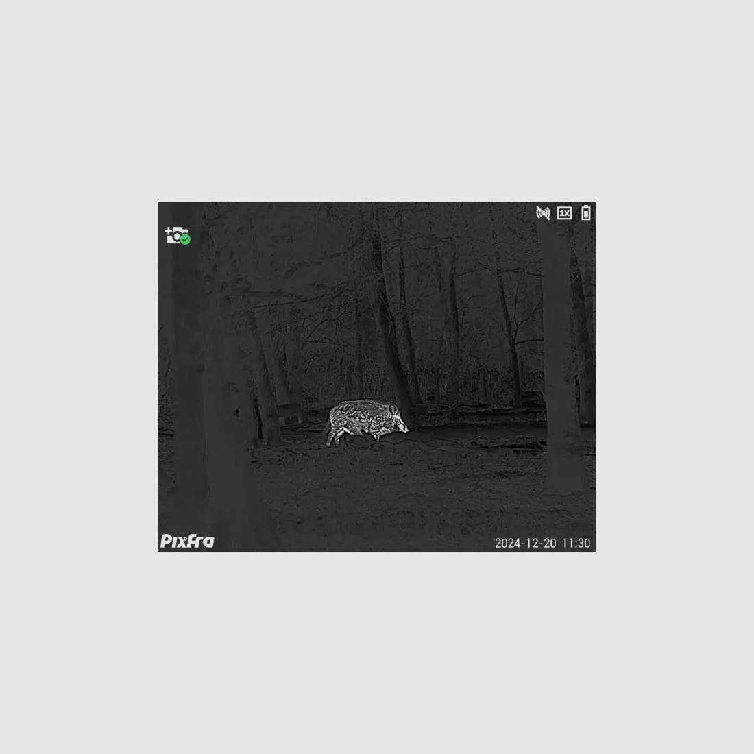 Pixfra Wärmebildmonokular Sirius S650D