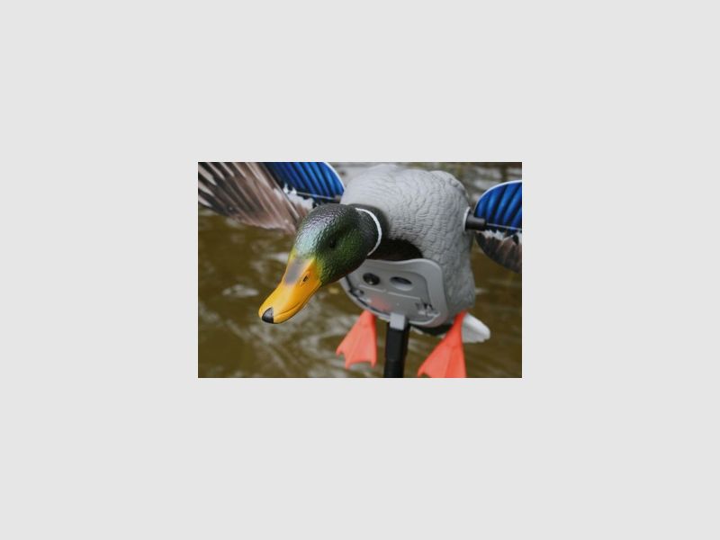 MOJO Elite Series™ KING MALLARD motorbetriebe Lockenten