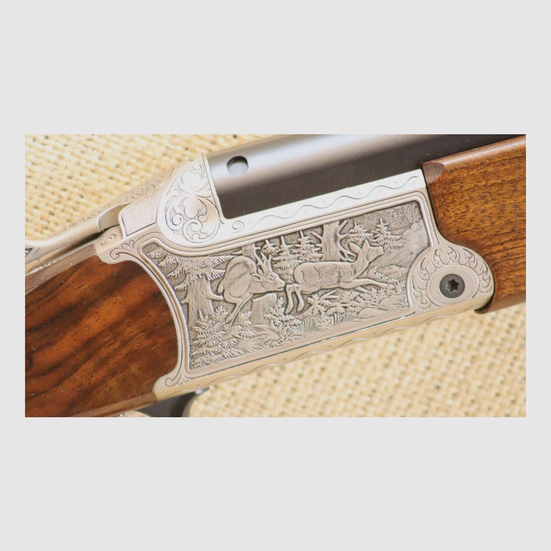 Blaser B95 Luxus 16/70;.30RBlaser