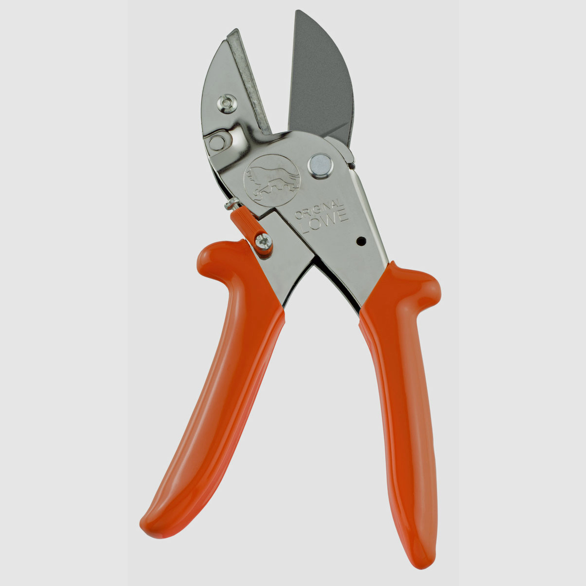 Hunting scissors lion