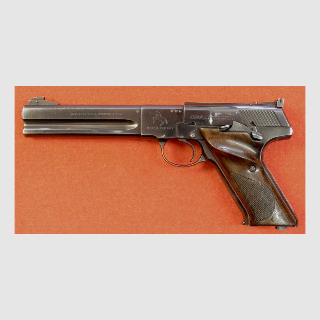 Colt Match Target
