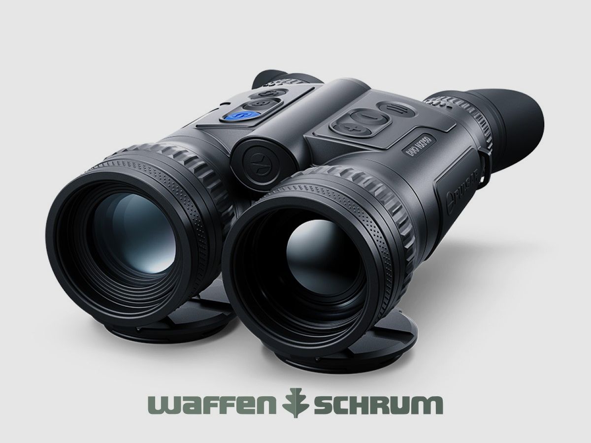 Pulsar Merger Duo NXP50