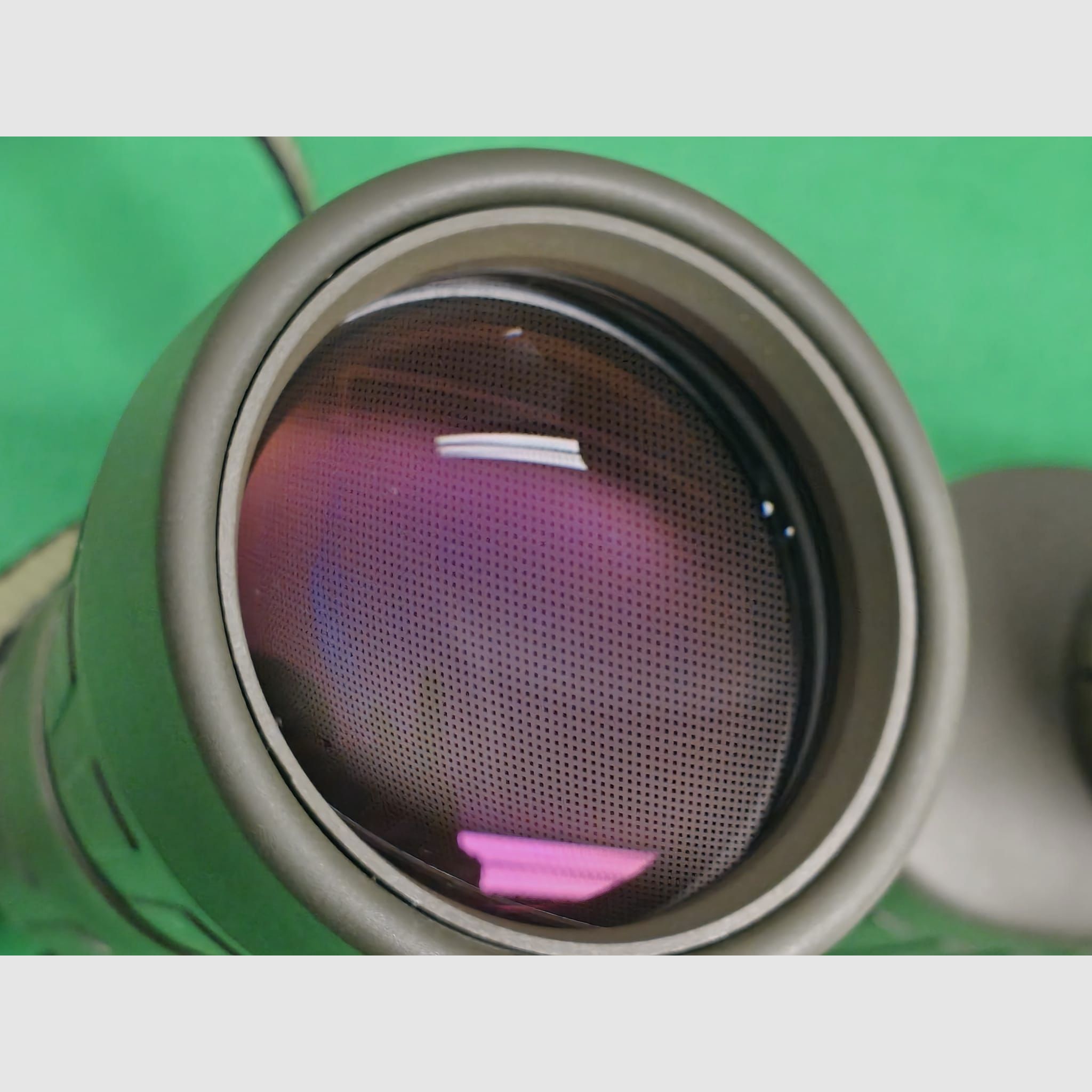 Steiner 8x56 Fernglas in OVP