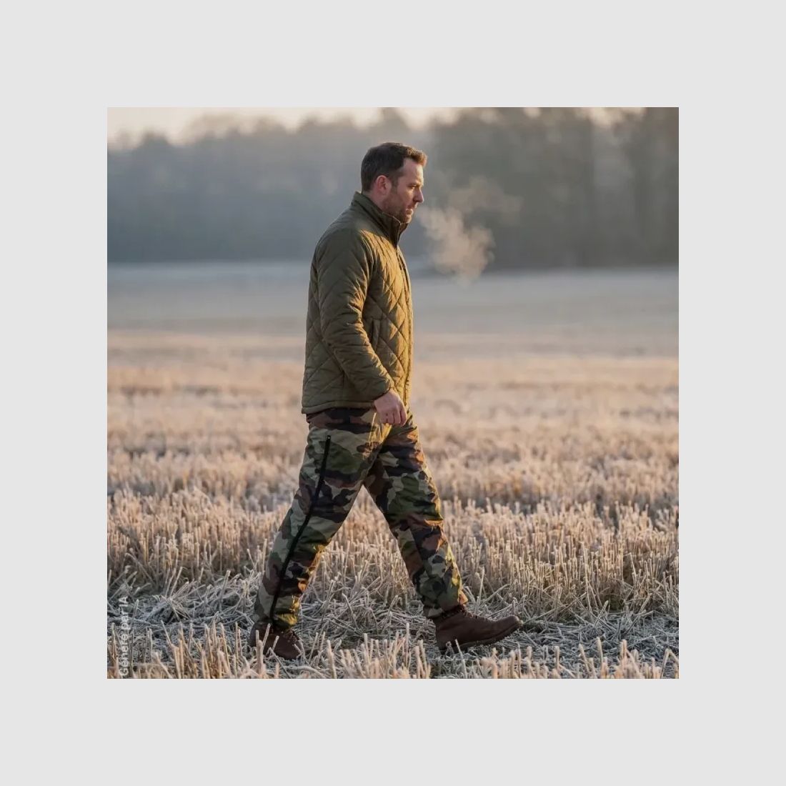 Camouflage-Stepphose, Bild 1 von 5