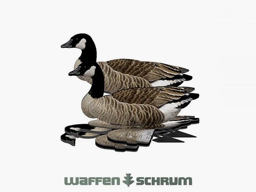 National Rifle Association FUD decoy Canada goose 6-pack