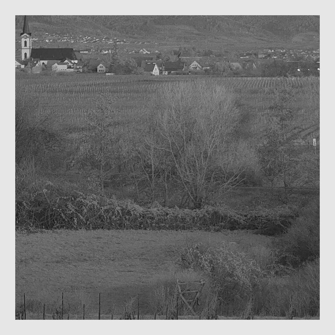 DIYCON Dual-Use-Nachtsichtgerät DNVC-2 Firefly