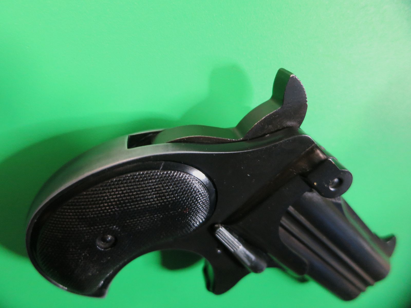 RÖHM RG17 Derringer, .38 Special, Fangschuss + Fallenjagd   #53