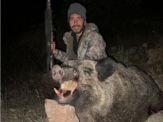 Nacht Pirsch Jagd in der Türkei  Sonderangebot 5 Sauen Inkl.