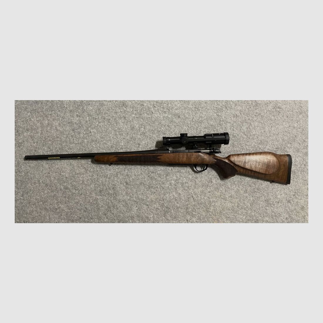 Bergara	 B14 Timber