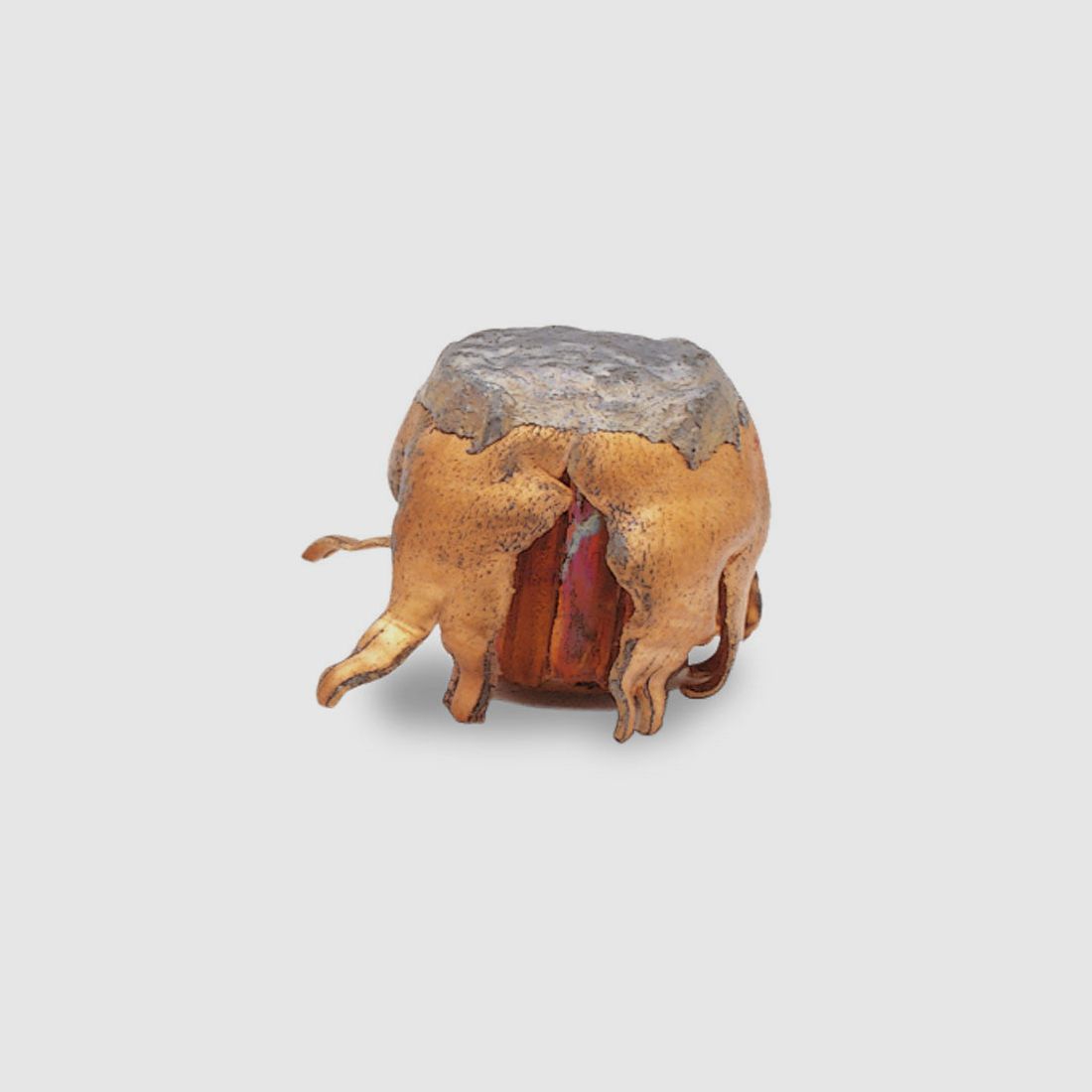 Geschosse SPEER GRAND SLAM - .308" - 180 GRAINS, Bild 3 von 3