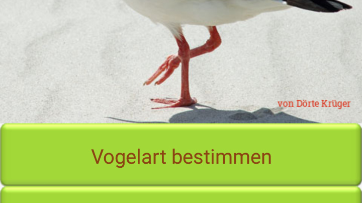 App Tipp: Die Vogel-App