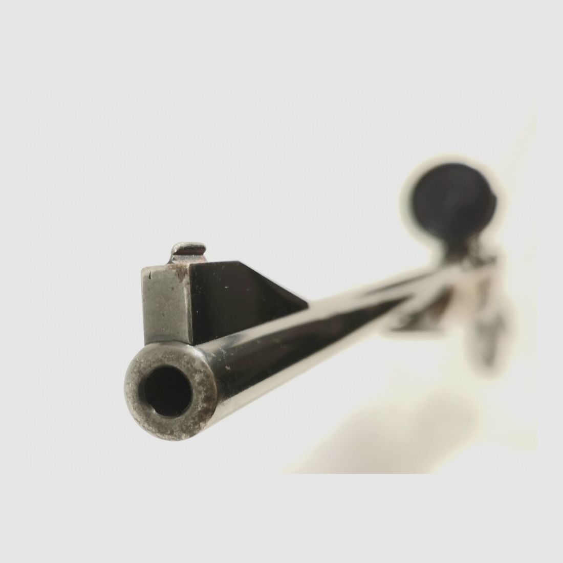 Honold Ulm avec Zeiss Diastal 8x52