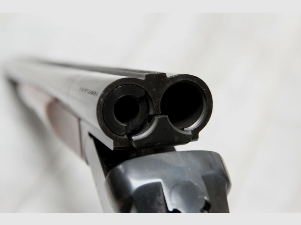 Chiappa X-Caliber cañón intercambiable