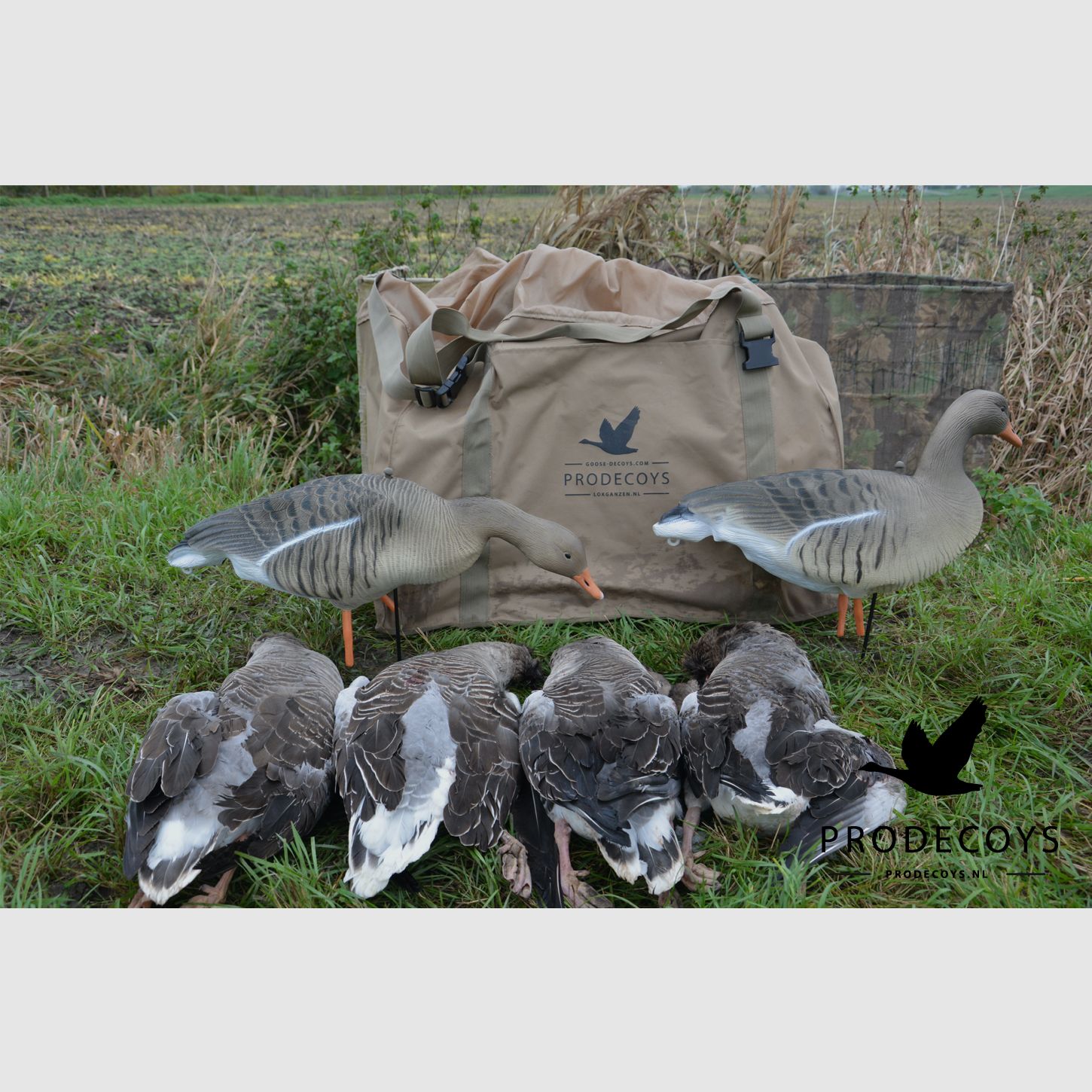 ProDecoys Full Body appelants d’oie cendrée Ultralight Series – 12 pièces, image 7 sur 7